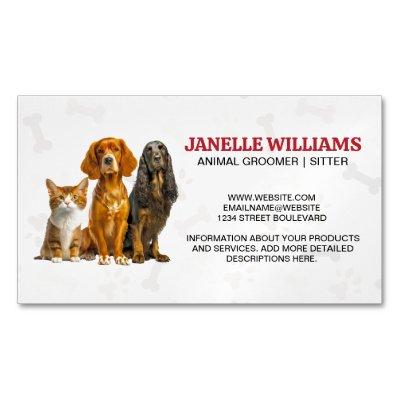 Cat and Dogs Sitting | Paw and Bones Pattern  Magnet