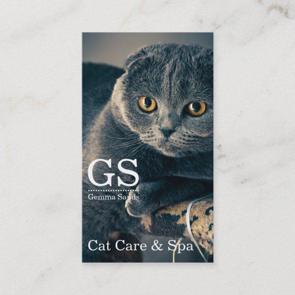 Cat Care Pet Boarding And Spa