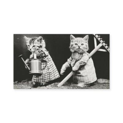 Cat Dressed Vintage Photo