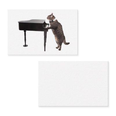 Cat Playing Piano