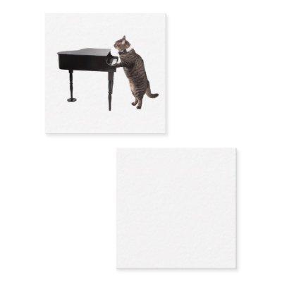 Cat Playing Piano Square