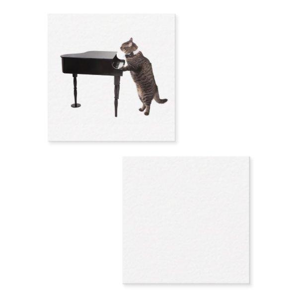 Cat Playing Piano Square