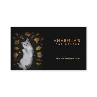 Cat Rescue Slogans