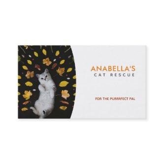 Cat Rescue Slogans