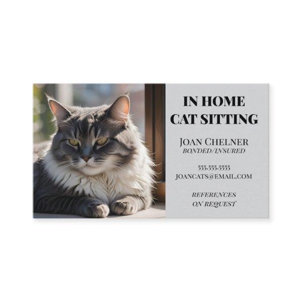 Cat Sitting Cat Care and Services