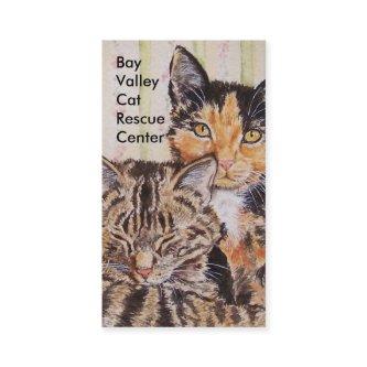 Cat Themed  Template