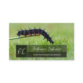 Caterpillar nature lover gray rectangle monogram