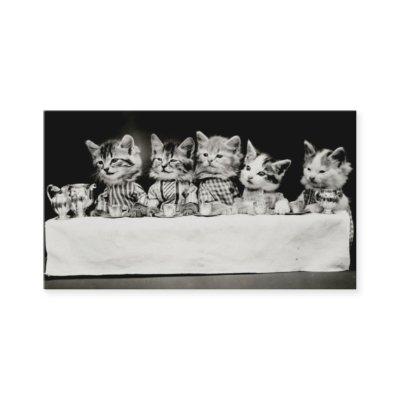 Cats Dressed Vintage Tea