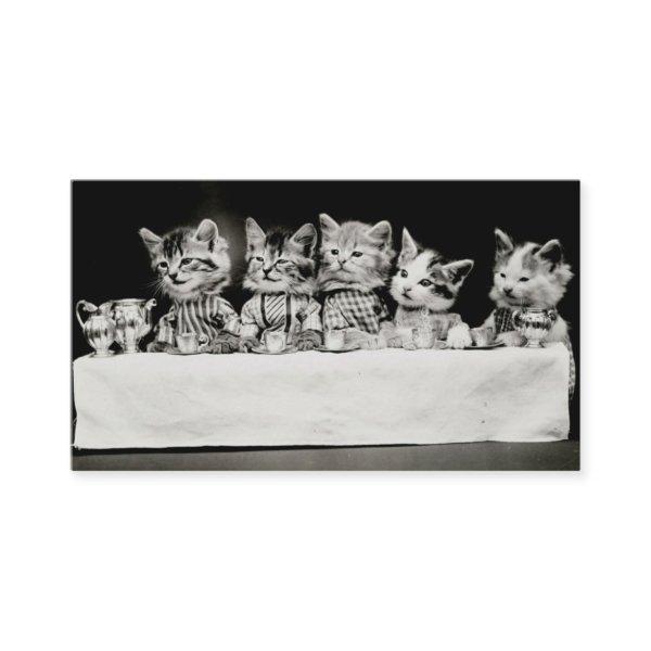 Cats Dressed Vintage Tea