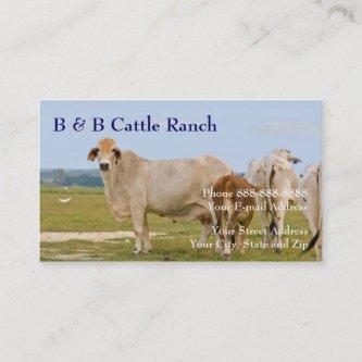 Cattle Farm Ranch