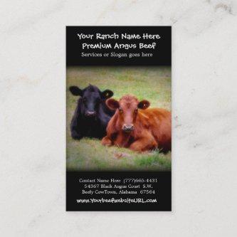 Cattle Farming Beef Ranch