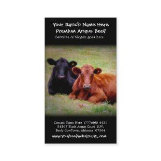 Cattle Farming Beef Ranch