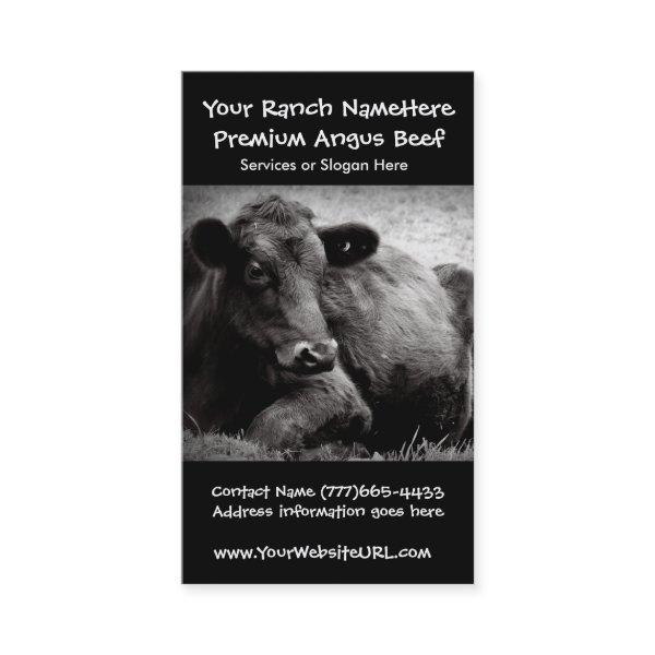 Cattle Ranch or Farm Beef Business