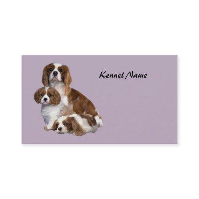 Cavalier King Charles Spaniel Breeder Business Car