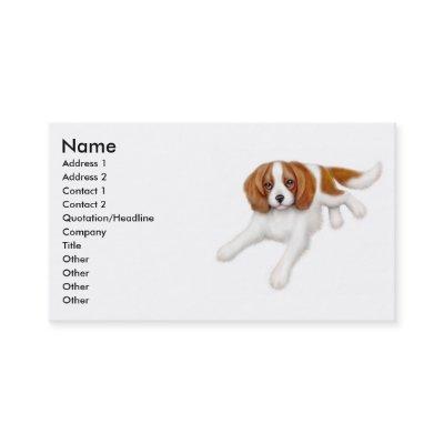Cavalier King Charles Spaniel