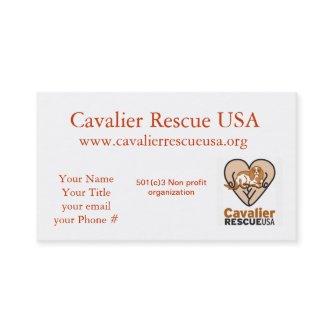 Cavalier Rescue dogs on bench