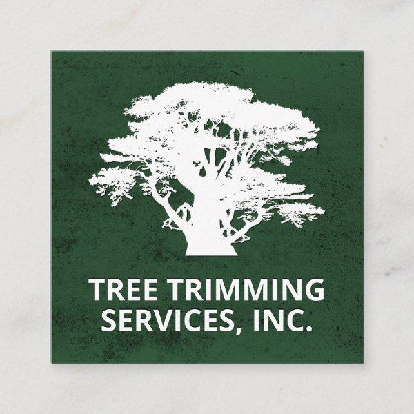 Cedar Tree | Landscaping | Gardener | Tree Trimmer Square