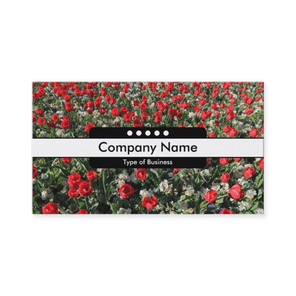 Center Band 5 Spots - Red Tulips and Primroses