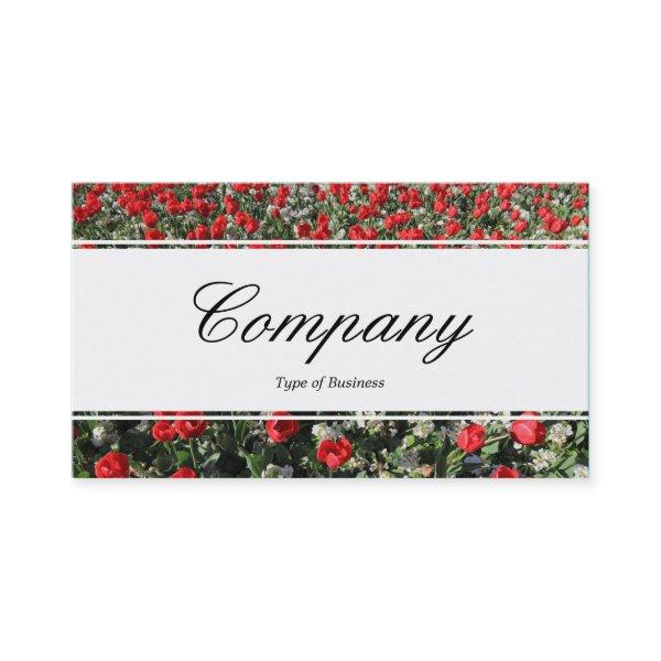 Center Band (edged) - Script - Red Tulips and Prim