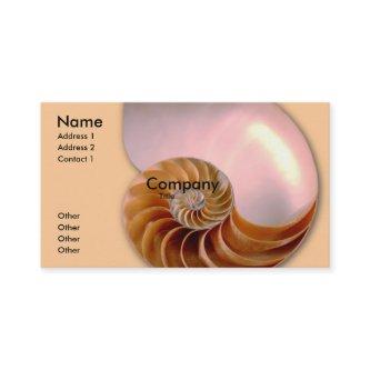 Chambered Nautilus