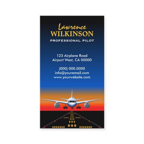 Charter Flights Professional Pilot