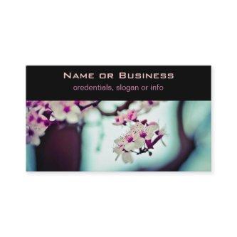 Cherry Blossom Branch