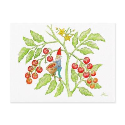 Cherry Tomato Gnome postcard
