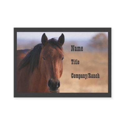 Cheyenne, Western Business