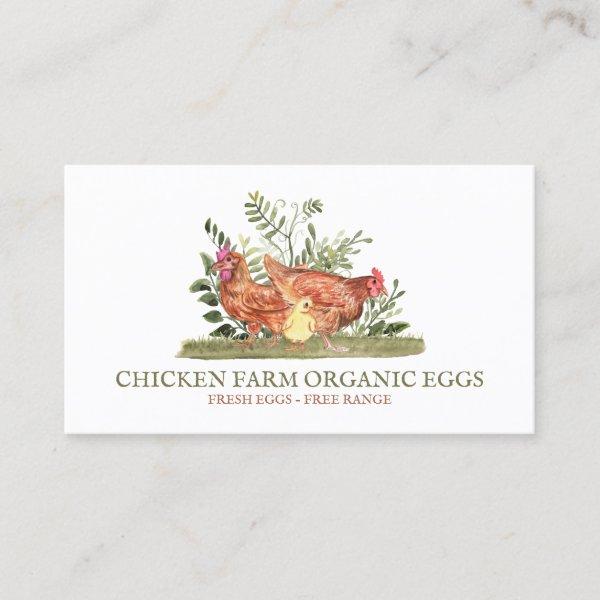 Chicken Farm Fresh Eggs