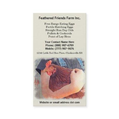 Chicken Farmer Holding Red Layer Hen