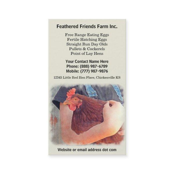 Chicken Farmer Holding Red Layer Hen