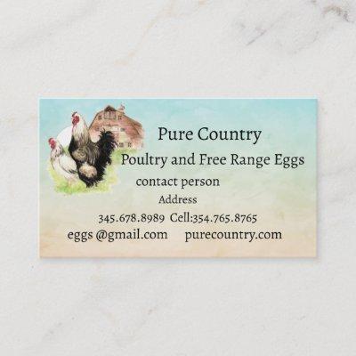 Chickens, Poultry, Eggs Organic free range