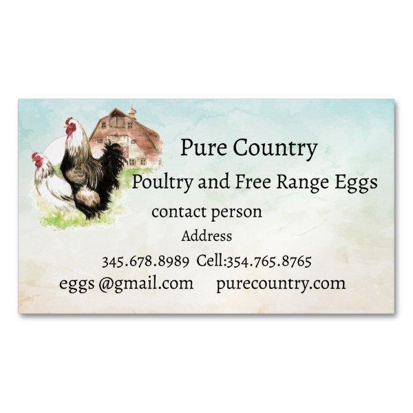 Chickens, Poultry, Eggs Organic free range   Magnet