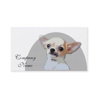Chihuahua Dog