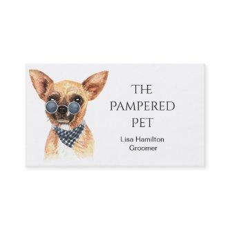 Chihuahua Pet Groomer/Vet/Sitters