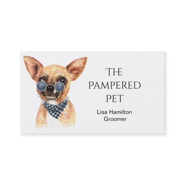 Chihuahua Pet Groomer/Vet/Sitters
