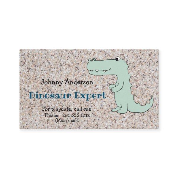 Child Dinosaur  For Boy Playdate