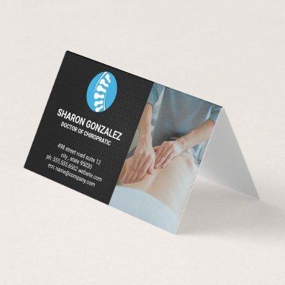 Chiropractor | Spinal Cord Anatomy