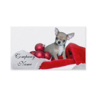 Christmas Chihuahua dog