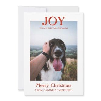 Christmas Custom Dog Photo Dog Walker Business Holiday Card