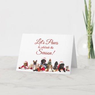Christmas | Dogs and Cats Holiday Card