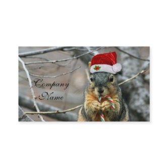 Christmas Squirrel