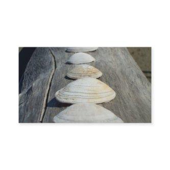 Clam shells
