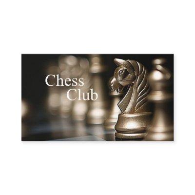 Classic Clean Chess Figures Coach