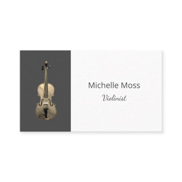 Classical Music Violin Professional Performer
