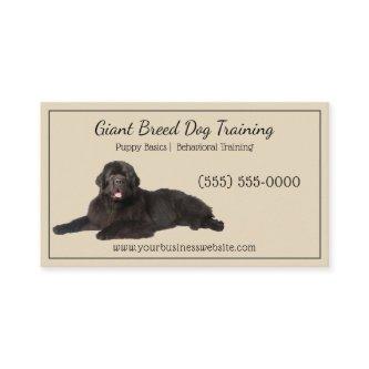 Classy Beige Black Giant Canine Dog Training Pet