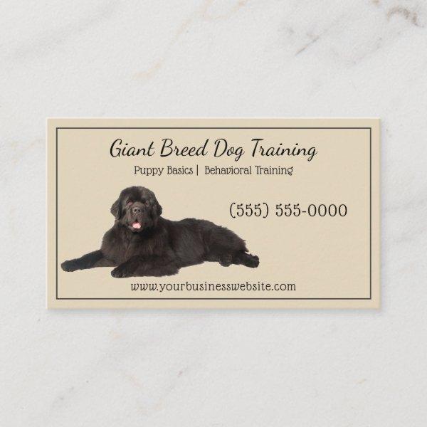 Classy Beige Black Giant Canine Dog Training Pet
