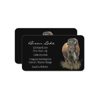 Classy Black Bison, Buffalo