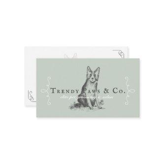 Classy Boutique Style Pet Salon Border Collie Dog