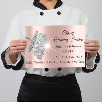 Classy Cleaning Service Maid Rose Silver Gray